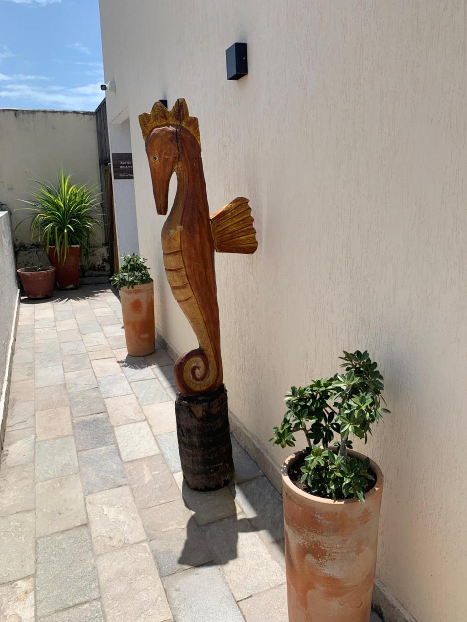 Villa Peixe Na Telha Pôrto das Galinhas Екстериор снимка
