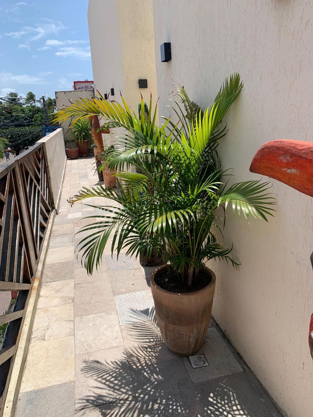 Villa Peixe Na Telha Pôrto das Galinhas Екстериор снимка